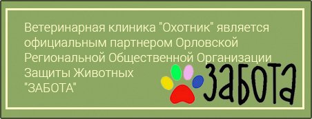 Забота