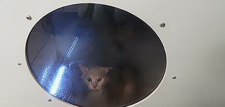 охотник