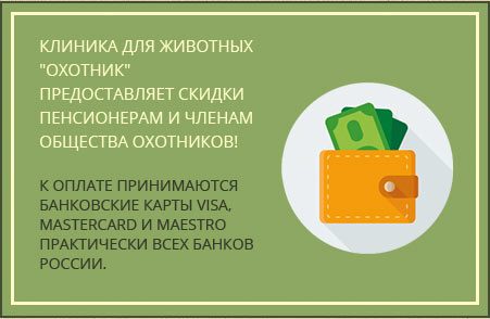 Круглосуточная ветклиника