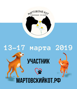 акция мартовский кот