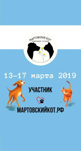 акция мартовский кот