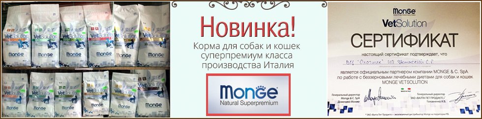 Новинка