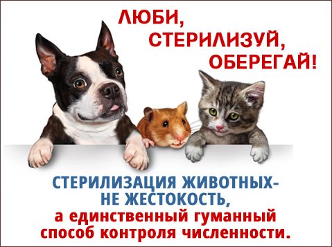 Cтерлизация